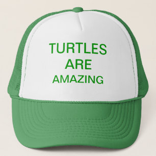 turtles are amazing trucker hat
