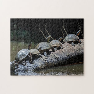 Turtles at Tortuguero National Park - Costa Rica Jigsaw Puzzle