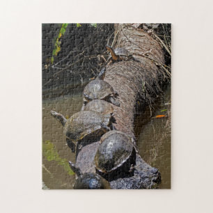 Turtles at Tortuguero National Park - Costa Rica Jigsaw Puzzle