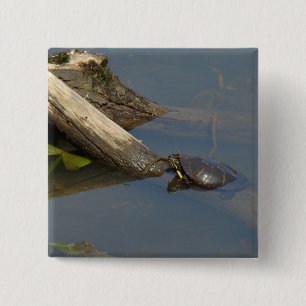 Turtle's Day Off Pinback Button