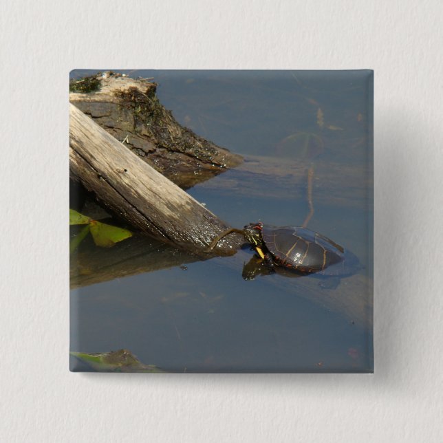 Turtle's Day Off Pinback Button (Front)