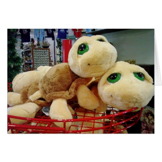 TURTLES HAVE EXCEPTIONAL NIGHT VISION (MISTLETOE) CARDS (Front Horizontal)