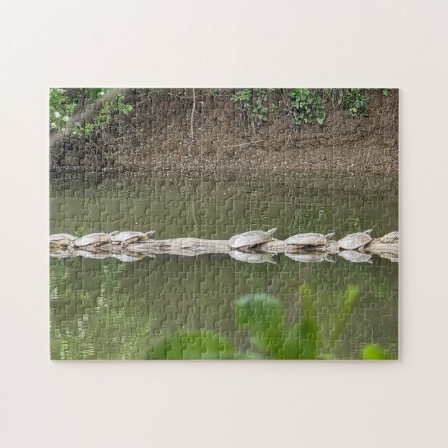Turtles in a Row Jigsaw Puzzle (Horizontal)