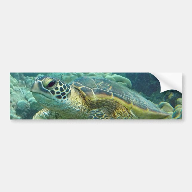 Turtles in Hawaii Bumper Sticker (Front)