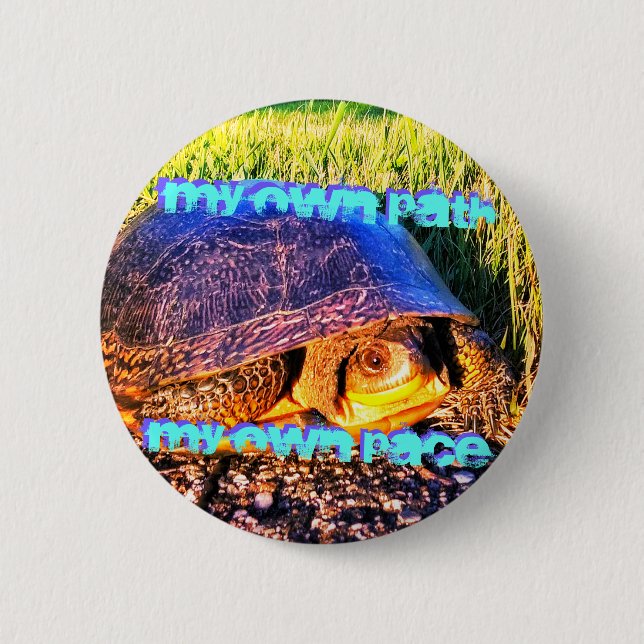 TURTLE'S PATH PIN (Front)