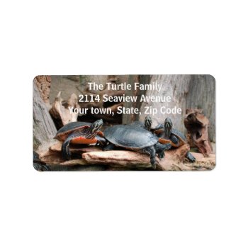 Turtles Photo Address Labels by CindyBeePhotography at Zazzle