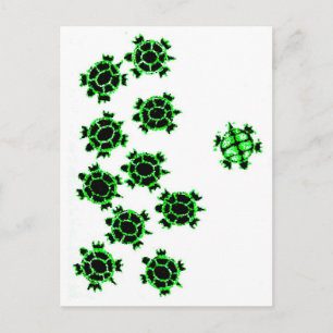 Turtles Postcard