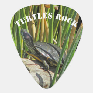 Turtles Rock Turtle on Log with Green Reeds Photo Guitar Pick