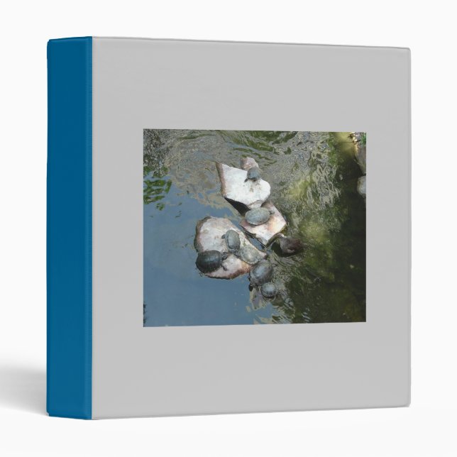 Turtles/Tortoises 3 Ring Binder (Front/Spine)