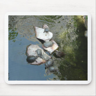 Turtles/Tortoises Mouse Pad