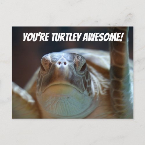 Turtley Awesome Postcard