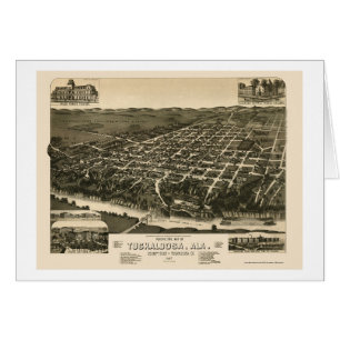 Tuscaloosa, AL Panoramic Map - 1887