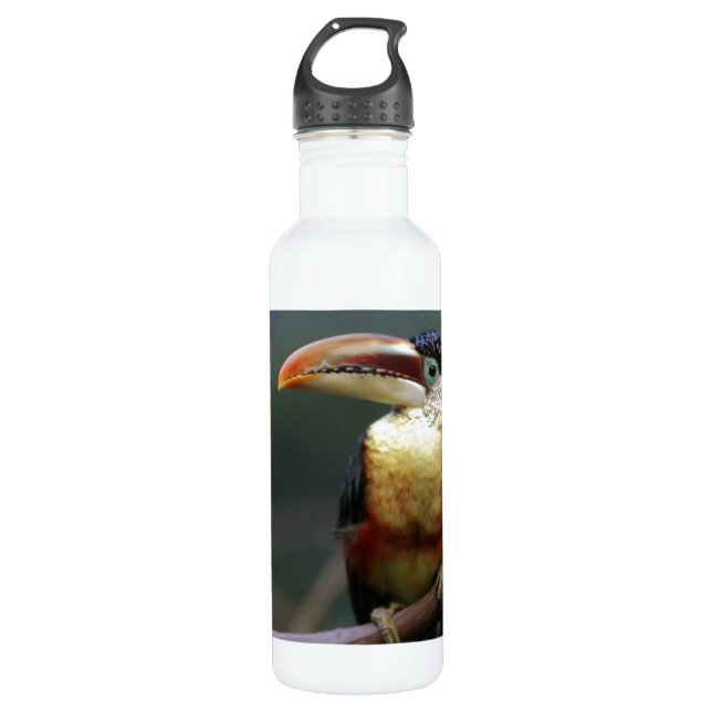 Tuscan  At The Zoo Water Bottle (Front)