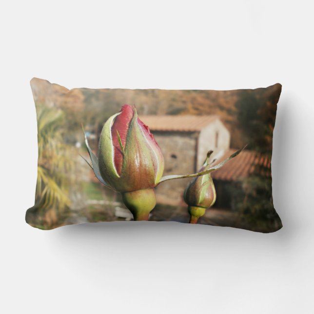 Tuscan autumn rose. Tuscany. Lumbar Pillow (Front)