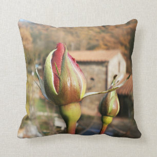 Tuscan autumn rose. Tuscany. Throw Pillow