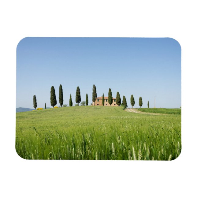 Tuscan farmhouse with cypresses rectangular magnet (Horizontal)