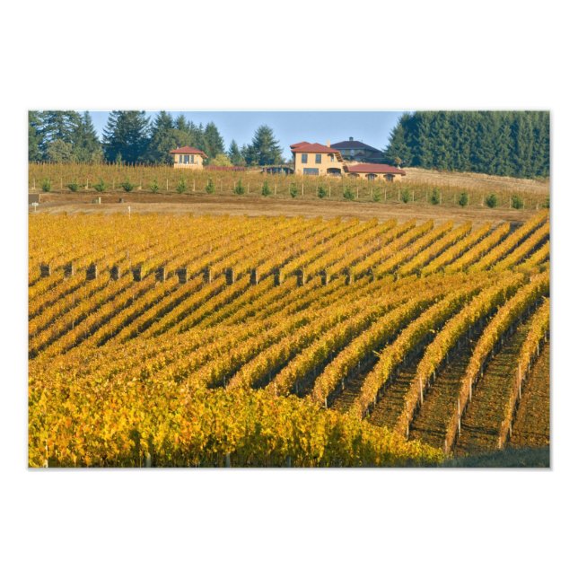Tuscan-looking Black Walnut Inn above the Photo Print (Front)