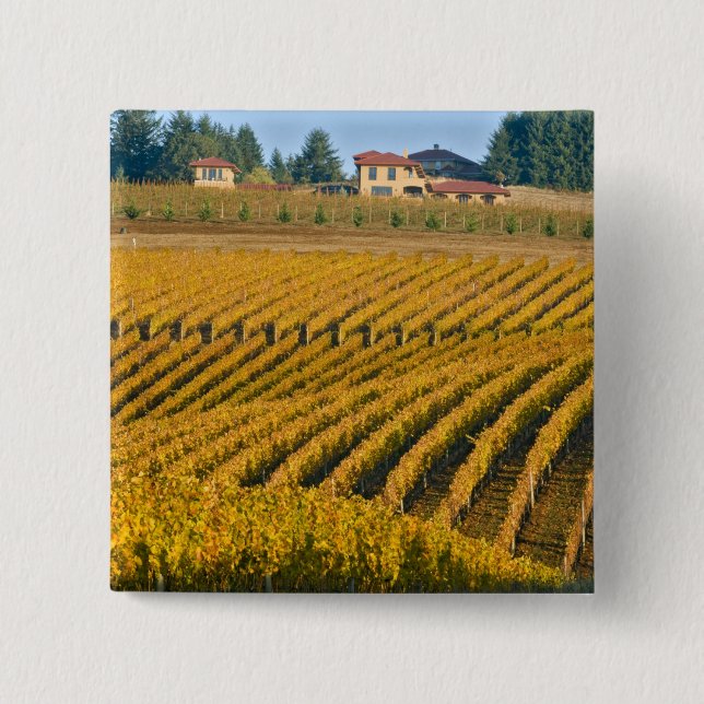 Tuscan-looking Black Walnut Inn above the Pinback Button (Front)