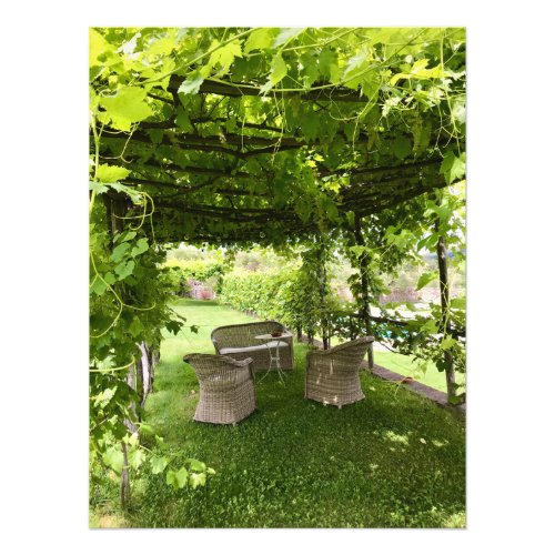 Tuscan Oasis Under the Grapevines Photo Print