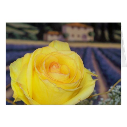 Tuscan Roses (Front Horizontal)