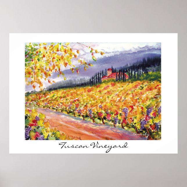 Tuscan Vineyard - poster (Front)