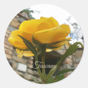 Tuscan yelllow rose. classic round sticker