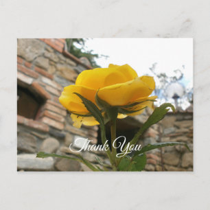 Tuscan yellow rose. Thank You. Postcard