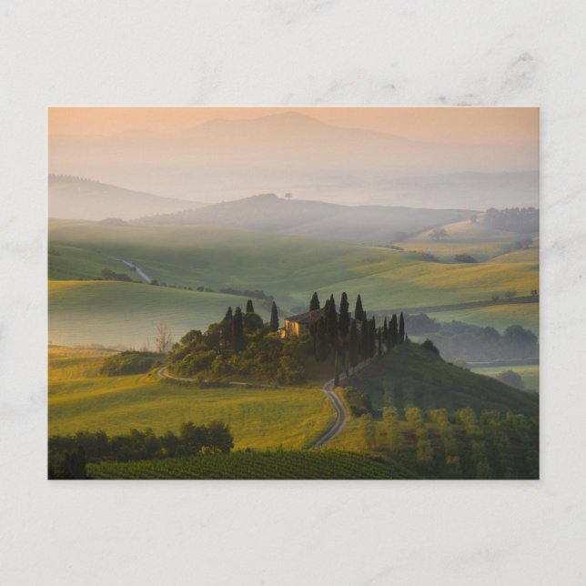 Tuscany hill landscape at sunrise postcard (Front)