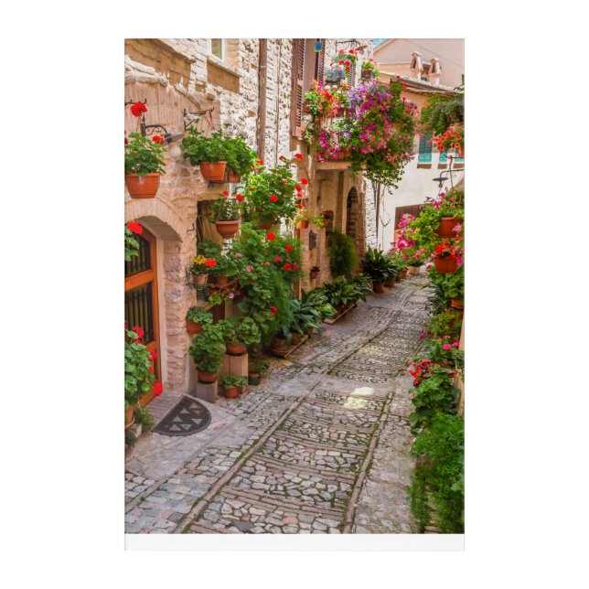 Tuscany, Italy Acrylic Print (Front)