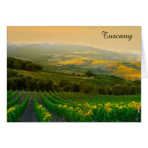 Tuscany Italy Italian Vineyard Photo Cards