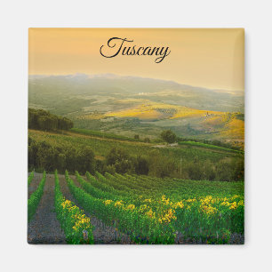 Tuscany Italy Italian Vineyard Photo Magnet