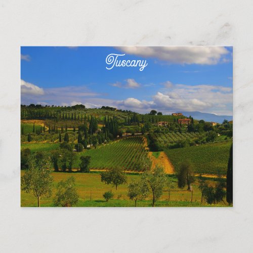 Tuscany Italy Italian Vineyard Travel Photo Postcard