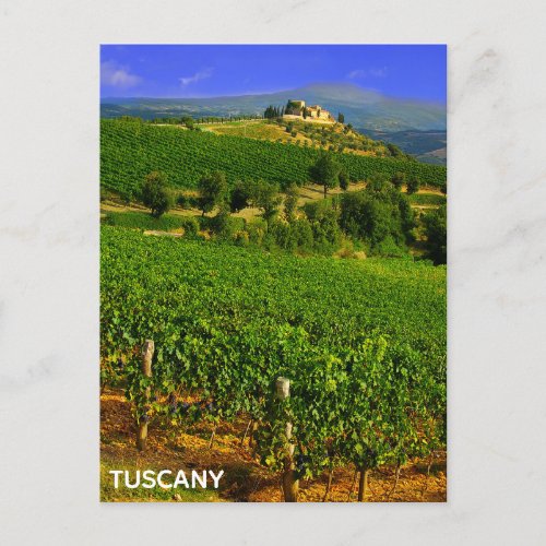 Tuscany Italy Italian Vineyard Villa Travel Postcard