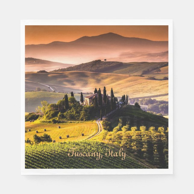 Tuscany, Italy - landscape photograph Napkins (Front)