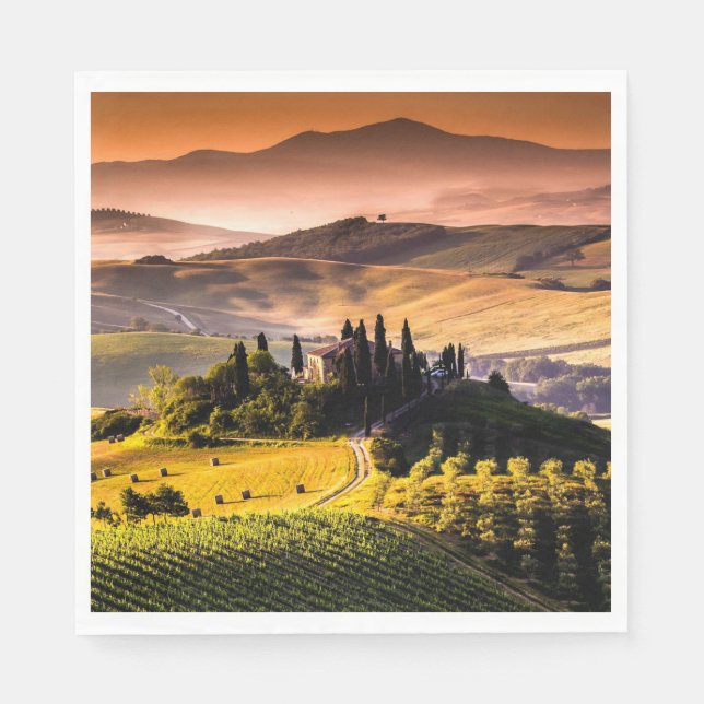 Tuscany, Italy - landscape photograph Napkins (Front)