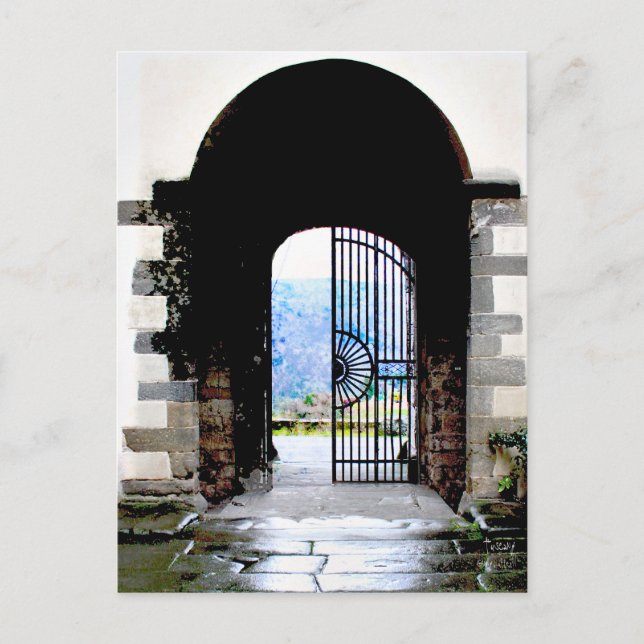 Tuscany Italy Novelties Postcard (Front)