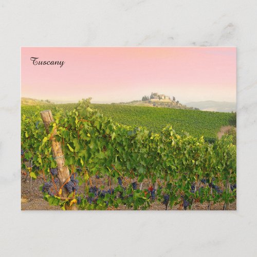 Tuscany Italy Stylish Italian Villa Vineyard Postcard