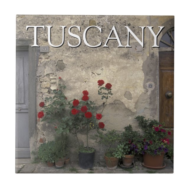 Tuscany, Italy | Tuscan Doorway Ceramic Tile (Front)