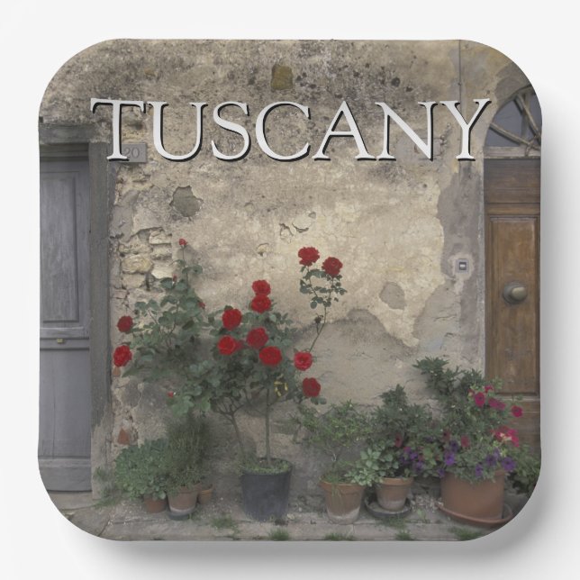 Tuscany, Italy | Tuscan Doorway Paper Plates (Front)