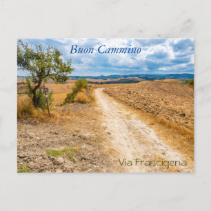 Tuscany Landscape along via Francigena, Italy Postcard