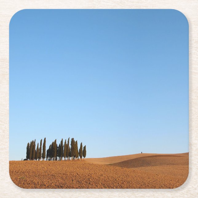 Tuscany landscape with cypress trees coaster (Front)