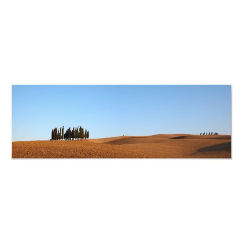 Tuscany landscape with cypresses panorama print