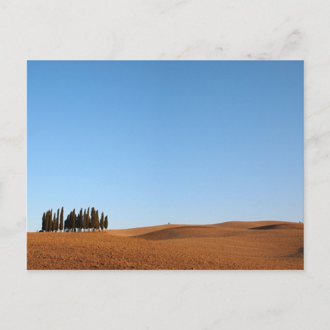 Tuscany landscape with cypresses postcard (Front)