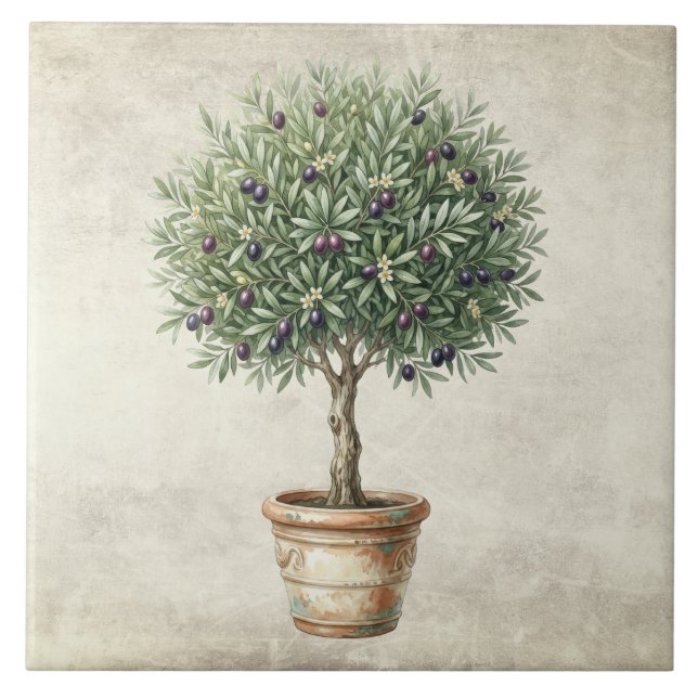 Tuscany Olive Topiary Mediterranean  Ceramic Tile (Front)