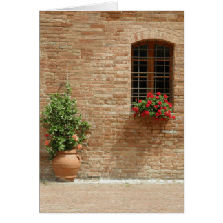 Tuscany pot plants cards