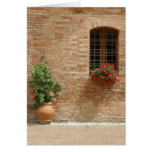 Tuscany pot plants cards (Front)