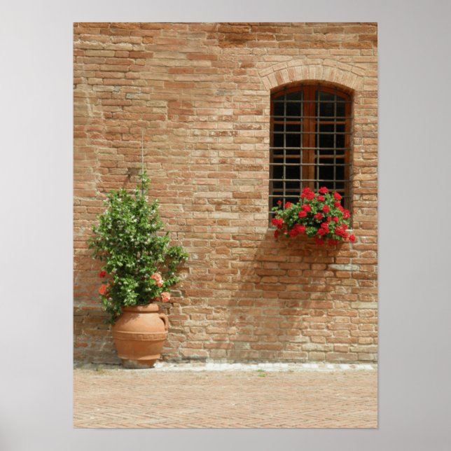 Tuscany pot plants poster (Front)