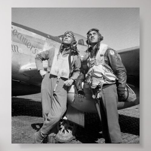 Tuskegee Airmen __ World War Two Poster