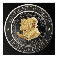 Tuskegee Red Tail Airmen 332d Fighter Group