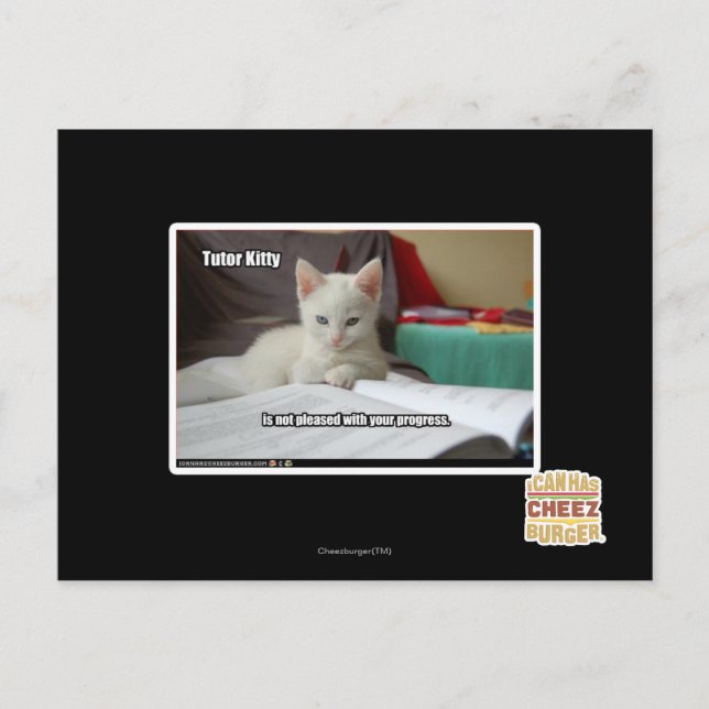 Tutor Kitty Postcard (Front)